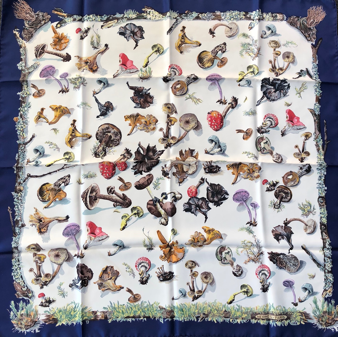 HERMÈS Paris Silk Scarf Champignons Mushrooms By Françoise de la Perrière 1986 - Image 4