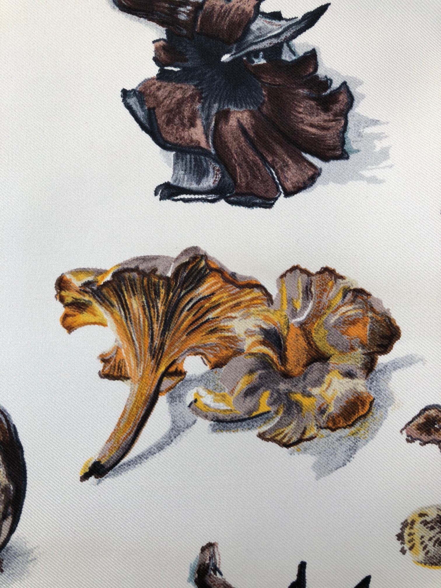 HERMÈS Paris Silk Scarf Champignons Mushrooms By Françoise de la Perrière 1986 - Image 6