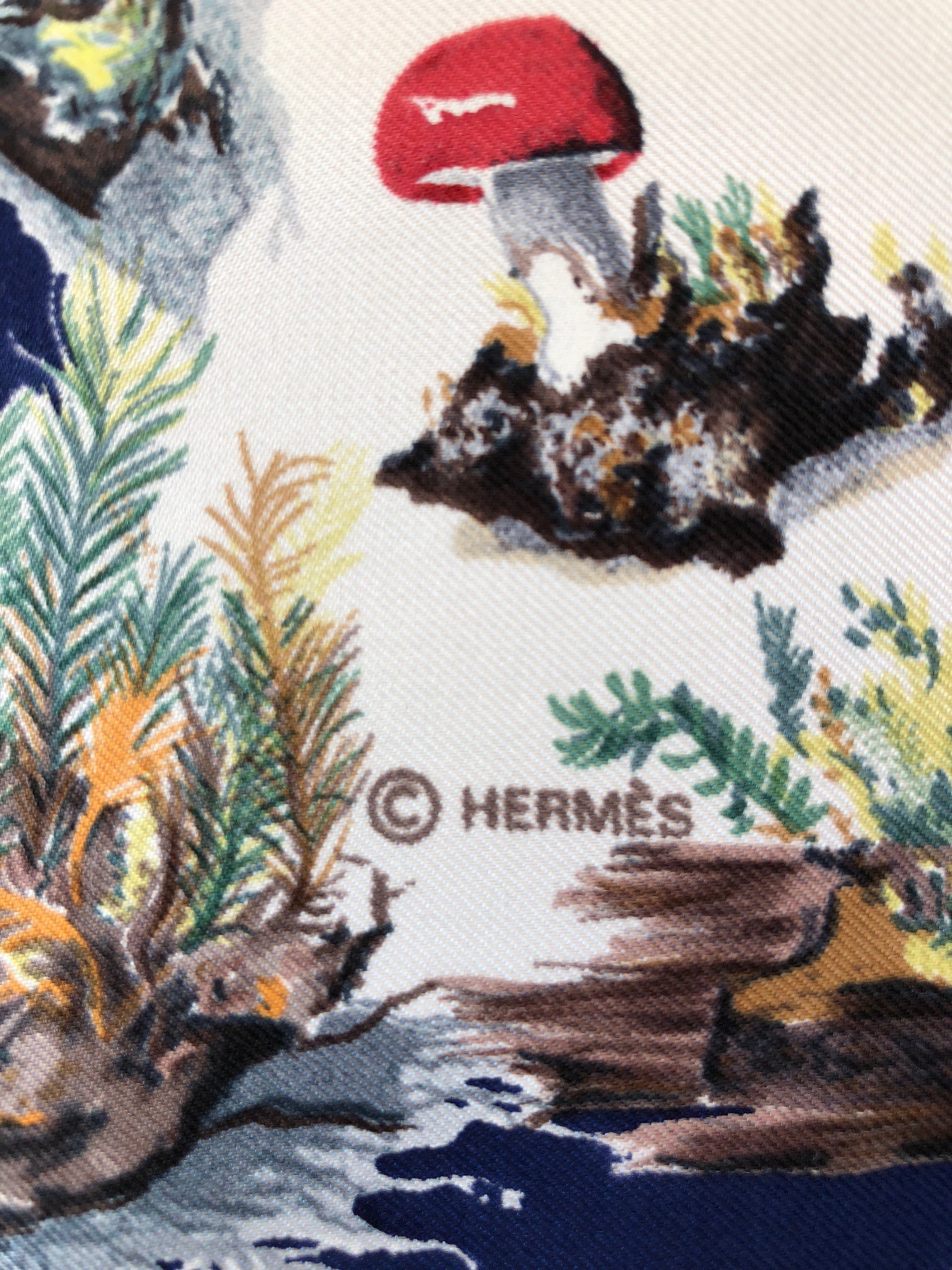 HERMÈS Paris Silk Scarf Champignons Mushrooms By Françoise de la Perrière 1986 - Image 7