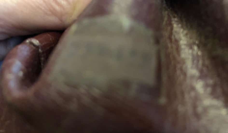 CHANEL Timeless V-Stitch Double Chain Shoulder Bag VERY RARE - Image 13