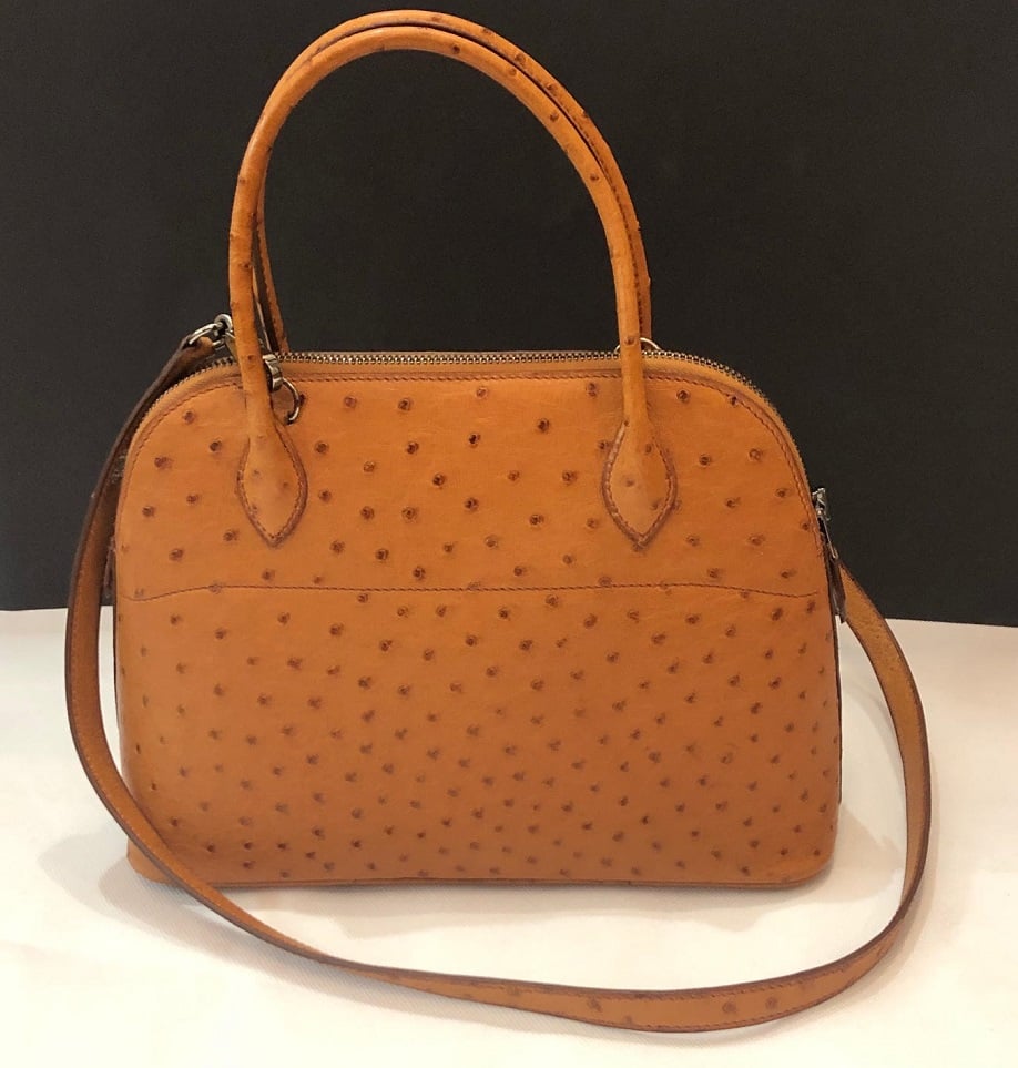 HERMES Ostrich Leather Bolide Bag Ruthenium Hardware Gold RARE - Image 7