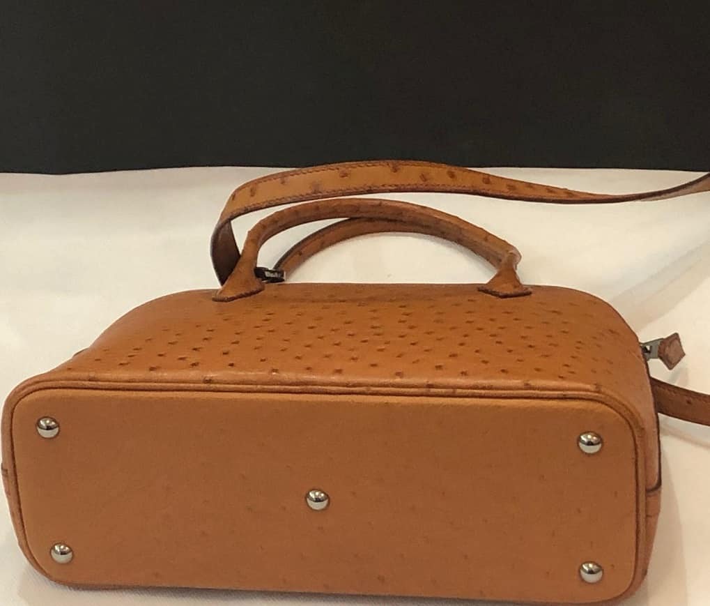 HERMES Ostrich Leather Bolide Bag Ruthenium Hardware Gold RARE - Image 9