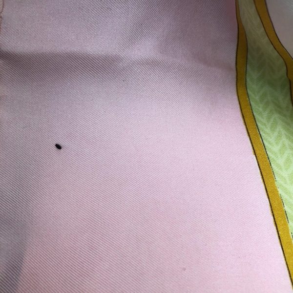 HERMÈS Scarf Frontaux et Cocardes Silk Caty Latham Pink and Green 1968 W/Box - Image 8