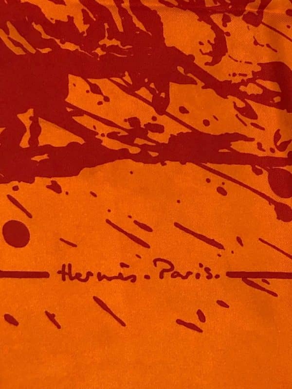 HERMÈS Scarf Cheval Surprise By Dimitri Rybaltchenko 2004 W/Box - Image 7
