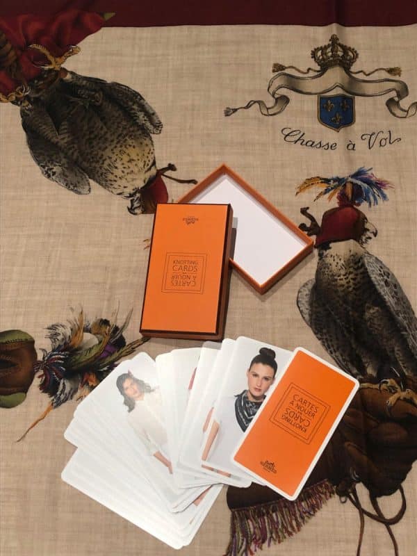 HERMÈS Falconry Cashmere Scarf Chasse A Vols By Henri De Linares W/Box & Knotting Cards - Image 11
