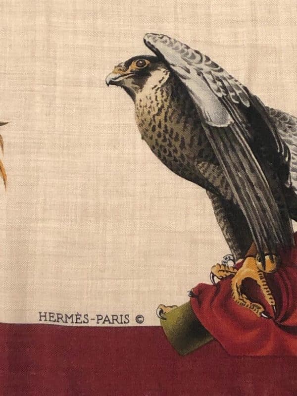 HERMÈS Falconry Cashmere Scarf Chasse A Vols By Henri De Linares W/Box & Knotting Cards - Image 5